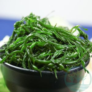3斤/5斤野生盐渍马尾藻海藻长寿菜鞭炮笋羊栖菜火锅串串非干货a