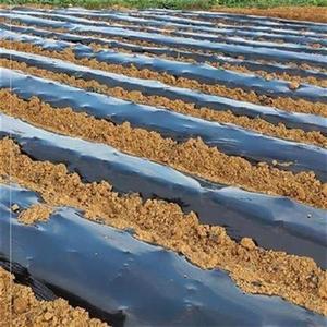 透气育苗打孔黑地膜l工p程花生地膜棚膜定做除草q布白膜防草保湿