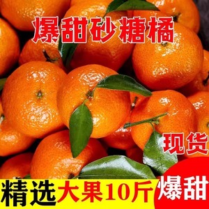 正宗广西砂糖橘新鲜水果沙糖桔10斤超甜小橘子当季蜜桔整箱包邮