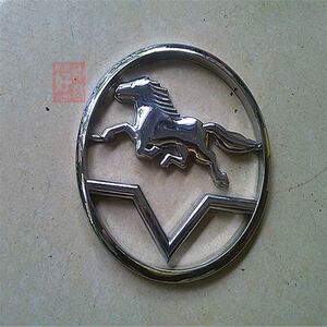 南小骏康汽车五星瑞康鸿运瑞宝车头标志大飞马字牌商标微牌中网标