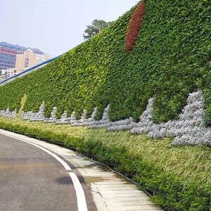 护坡灌木种子 胡枝子紫穗槐小冠花荆条猪屎豆刺槐银合欢爬山虎