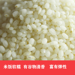 江苏大米正宗如皋9108 粳米5kg