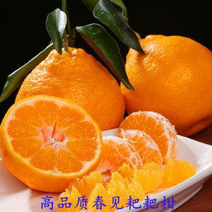 四川春见耙耙柑粑粑柑当季新鲜水果杷杷橘桔子丑橘甜大果包邮10斤