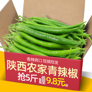 陕西农家自种新鲜青辣椒线椒二荆条5斤小米椒中辣尖椒杭椒蔬菜