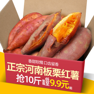 河南板栗红薯新鲜10斤装大果装西瓜红蜜薯农家地瓜糖心沙地山芋香