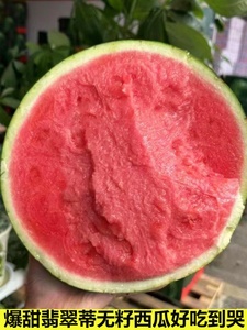 现货翡翠蒂无籽西瓜当季海南麒麟瓜单果7斤新鲜红壤西瓜皮薄脆甜