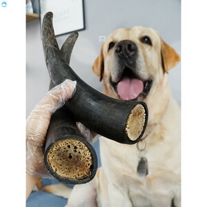 狗狗磨牙棒牛角