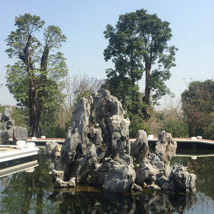 广东园林庭院景观造景石草坪黑色灰色太湖石批发假山工程设计施工