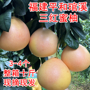 福建漳州平和正宗三红蜜柚管溪红肉柚子当季现摘新鲜孕妇水果10斤