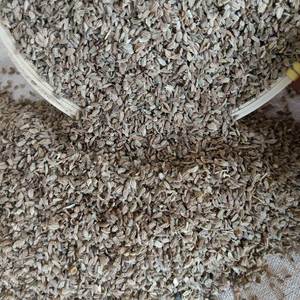 东北蔬菜农村胡萝卜种子胡萝卜籽散装红萝卜种子新籽包邮吃籽药用