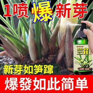 【兰花专用爆芽剂】兰花专用营养液生根催芽催花液体肥免稀释