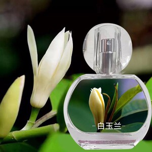 白玉兰花味香水