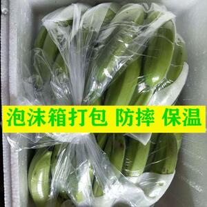 广西新鲜现摘青香蕉无催熟剂保鲜剂非粉蕉小米蕉芭蕉单果70-150ga