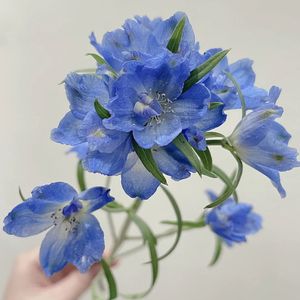 小飞燕相思梅蓝星花小清新鲜花云南直花束真花瓶插花水养花