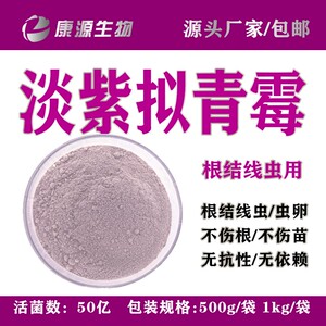 活菌50亿淡紫拟青霉紫孢菌厂家直销农作物根结线虫毛囊用1000g袋