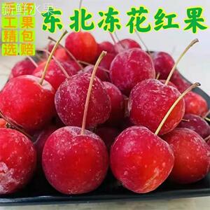 东北冻花红果 海棠果酸甜多汁花红小时候的味道味冷冻花红果包邮