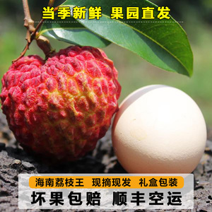 海南荔枝王超大火山新鲜当季水果5斤整箱糯米糍现摘现发顺丰空运