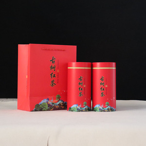 新款通用套装传统英红九号野生a古树红茶空铁盒包装茶叶罐便携礼