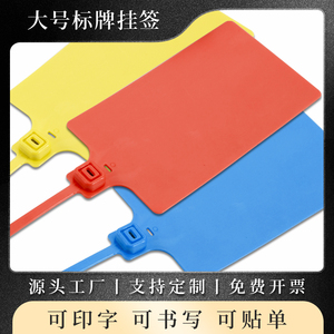 大标牌挂签安能百世中通快递物流塑料封条标签扎带PP吊牌扣可手写