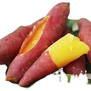 沙土地红薯 济薯26 红皮黄心板栗薯 香甜软糯小番薯地瓜