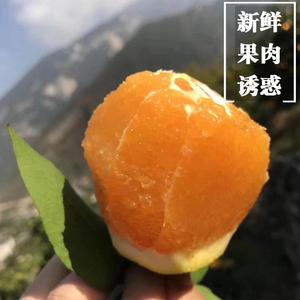 90智泽诚信企业店淘宝玫瑰血橙新鲜橙子水果塔罗科雪橙四川重庆9斤