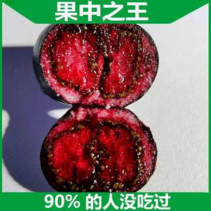 罕见稀有水果金花红果参果中人参当应季水果孕妇老人特殊新型水果