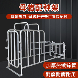 种猪小母猪架配种架采精支架公猪用配种栏受精配种器配猪架子设备
