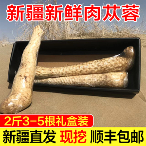 新疆荒漠新鲜肉苁蓉2斤中药材正品整根泡酒泡水非野生官方旗舰店