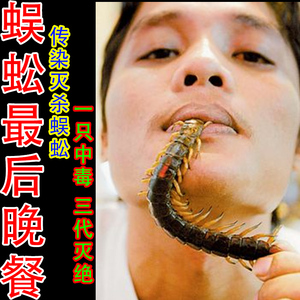 驱蜈蚣神器灭防驱虫药粉室内外家用除爬虫千足虫马陆虫专用杀虫剂