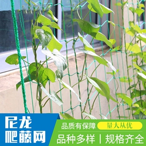豆角爬藤网植物铁丝种植网百香果网专用爬藤网豆角苦瓜网农用牵藤