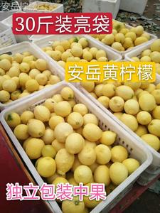 四川安岳新鲜黄柠檬皮薄多汁中果大果奶茶切片榨汁泡水30斤一二级