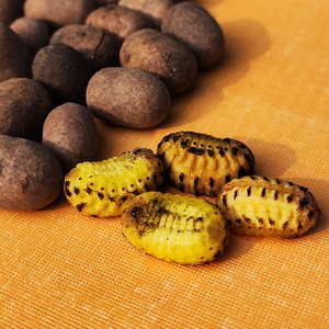 杨拉罐洋辣子罐蛋 蜜袋鼯零食刺猬花枝飞鼠增肥虫 仓鼠坦克虫鸟虫