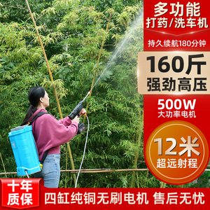 【电动喷雾器双电机高压】电动喷雾器双电机高压品牌,价格 - 阿里巴巴