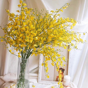 跳舞兰鲜花云南基地直发家用摆设水养花束生日礼物装饰鲜切花