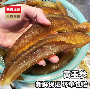 yoyo哎淘宝广西北海特产深海海参 黄玉参 猪仔黄刺参辽参淡干货500g