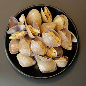 000人付款淘宝鲜阁 丹东黄蚬子开袋即食500g 个大鲜