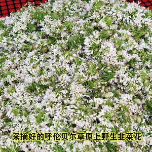 内蒙古呼伦贝尔产野生韭菜花酱自制现榨新货涮羊肉牛肉火锅调料