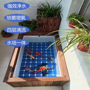 阳台锦鲤鱼缸周转箱乌龟缸滴流盒水箱水培沼泽过滤增氧免换水鱼池