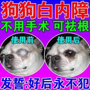 猫咪氯霉素滴眼液