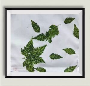 植物拓染染白布纯棉草木拓染手帕拓印材料捶草印花棉布树叶拓染布