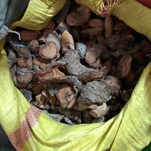 咸酸根 入地龙大叶酸味根酸藤果根中药材500克包邮