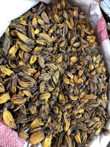 石仙桃 500克包邮 干货 石橄榄 中药材 一斤