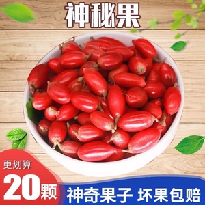80叮咚诚信店淘宝现摘神秘果干果干20粒装 变味果蜜拉