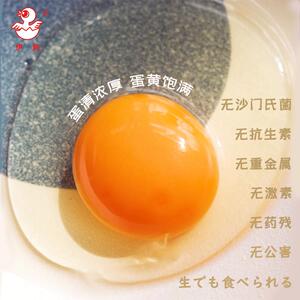 【伊势食品旗舰店】伊势卵鲜鸡蛋30枚可生食无沙门氏菌!顺丰包邮