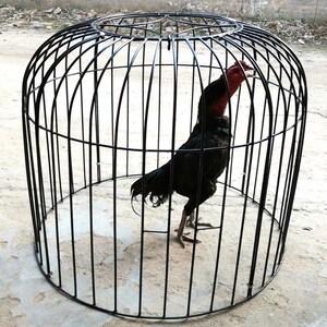 斗鸡用品专用围子跑笼围栏训练双层鸡笼宠物室外罩户外折叠式