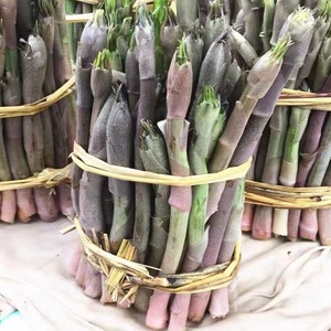 jiaoqiang2010淘宝500g长白山辉南特产山野菜东北龙须菜野生牛尾菜