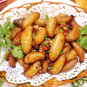 油炸竹笋虫食用昆虫美味椰树虫美食竹蛹胖虫竹蛆竹象幼虫子小零食