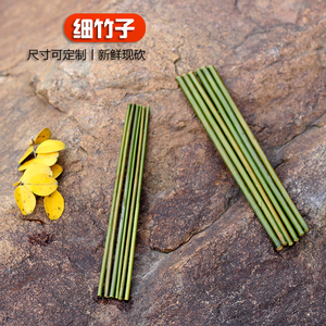 新鲜小竹竿小竹子竹棍竹棒绿色竹筒箬竹细长可定制竹条子竹棒棒子