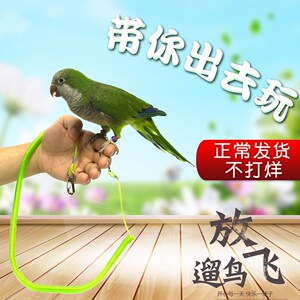 溜鸟神器鹦鹉放飞绳遛鸟绳玄凤脚环脚链不伤脚虎皮鸟牵引绳牡丹