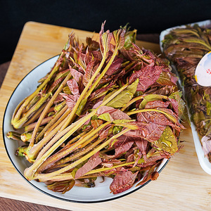 菜香春斤春芽红3整箱10蔬菜香椿新鲜咸菜当季香椿芽叶菜类